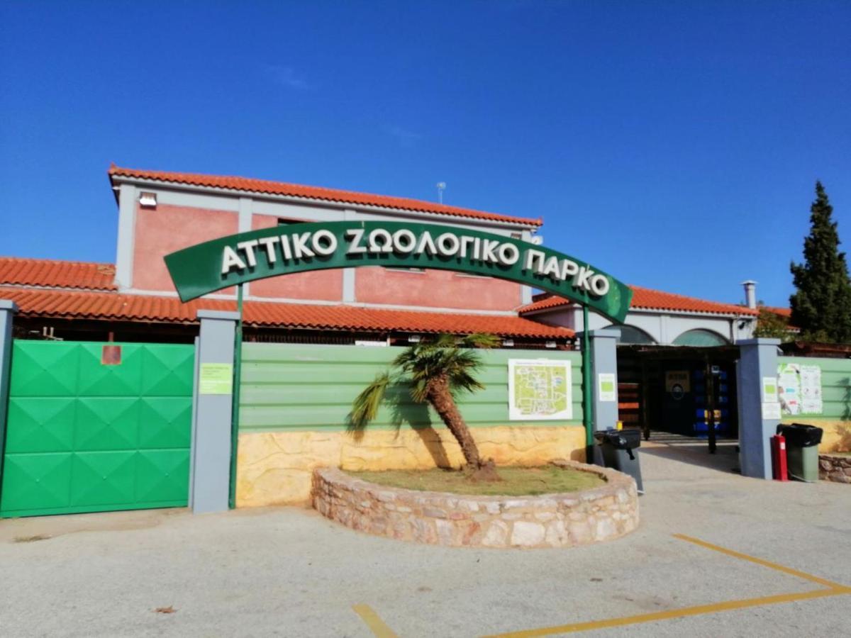 Appartamento Costasfarmhouse, Pallini, Near Athens Airport Esterno foto