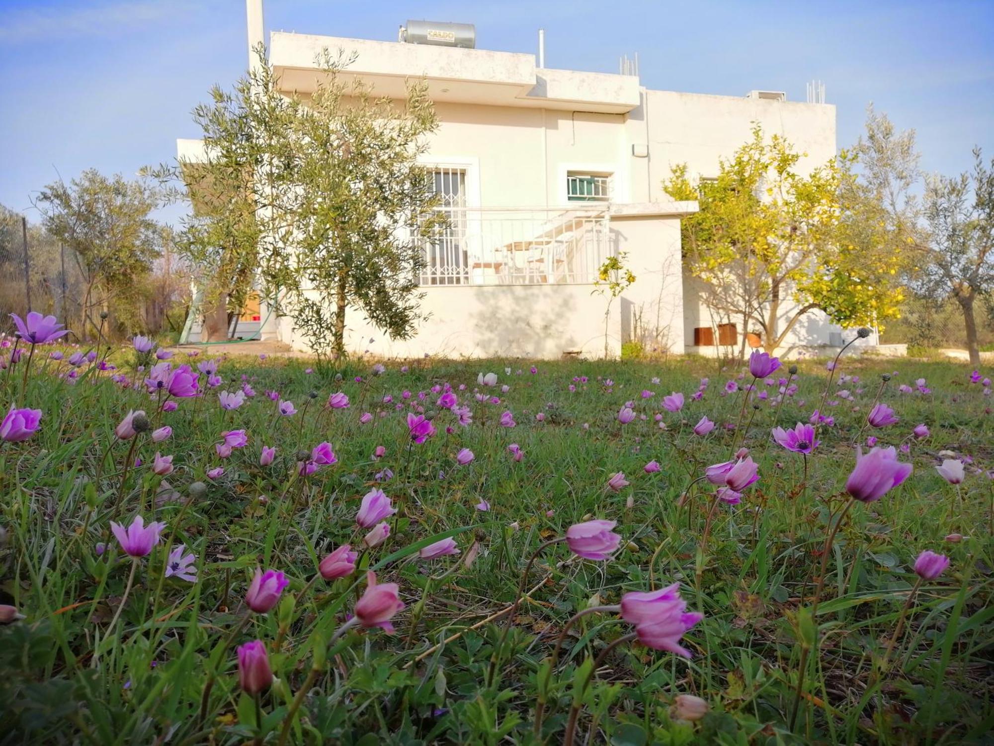 Appartamento Costasfarmhouse, Pallini, Near Athens Airport Esterno foto
