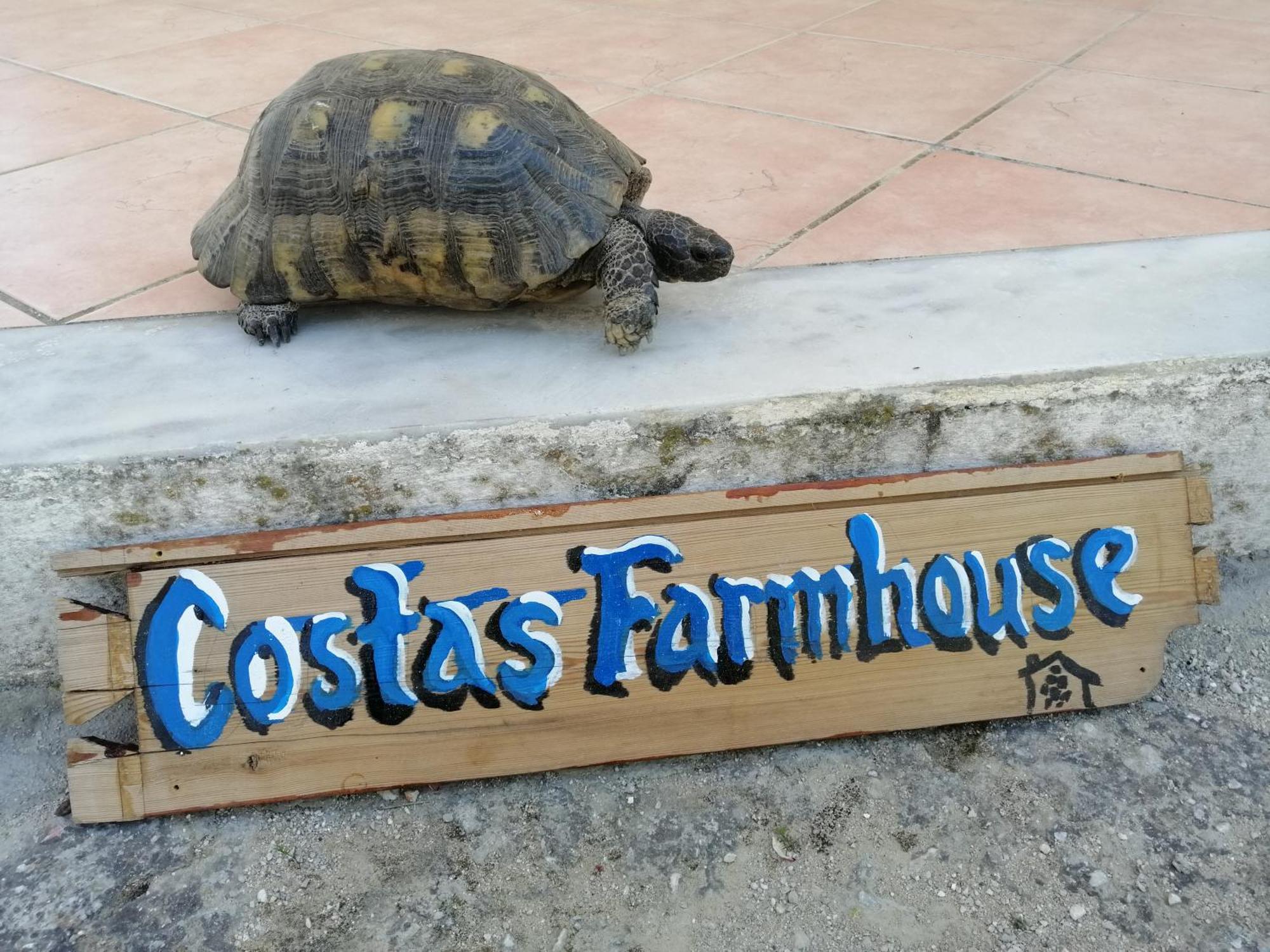 Appartamento Costasfarmhouse, Pallini, Near Athens Airport Esterno foto