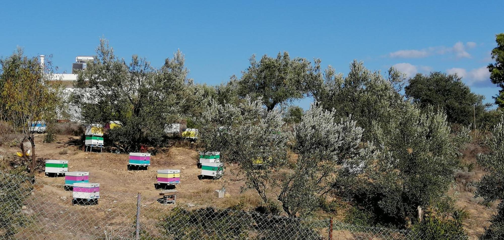 Appartamento Costasfarmhouse, Pallini, Near Athens Airport Esterno foto