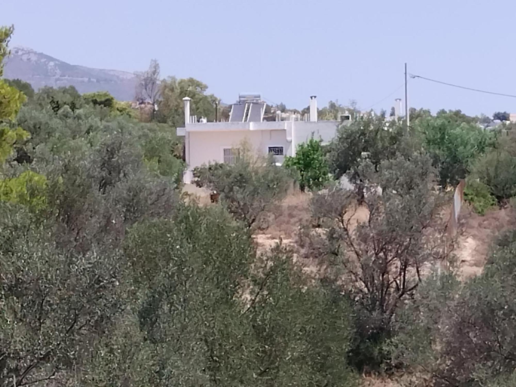 Appartamento Costasfarmhouse, Pallini, Near Athens Airport Esterno foto