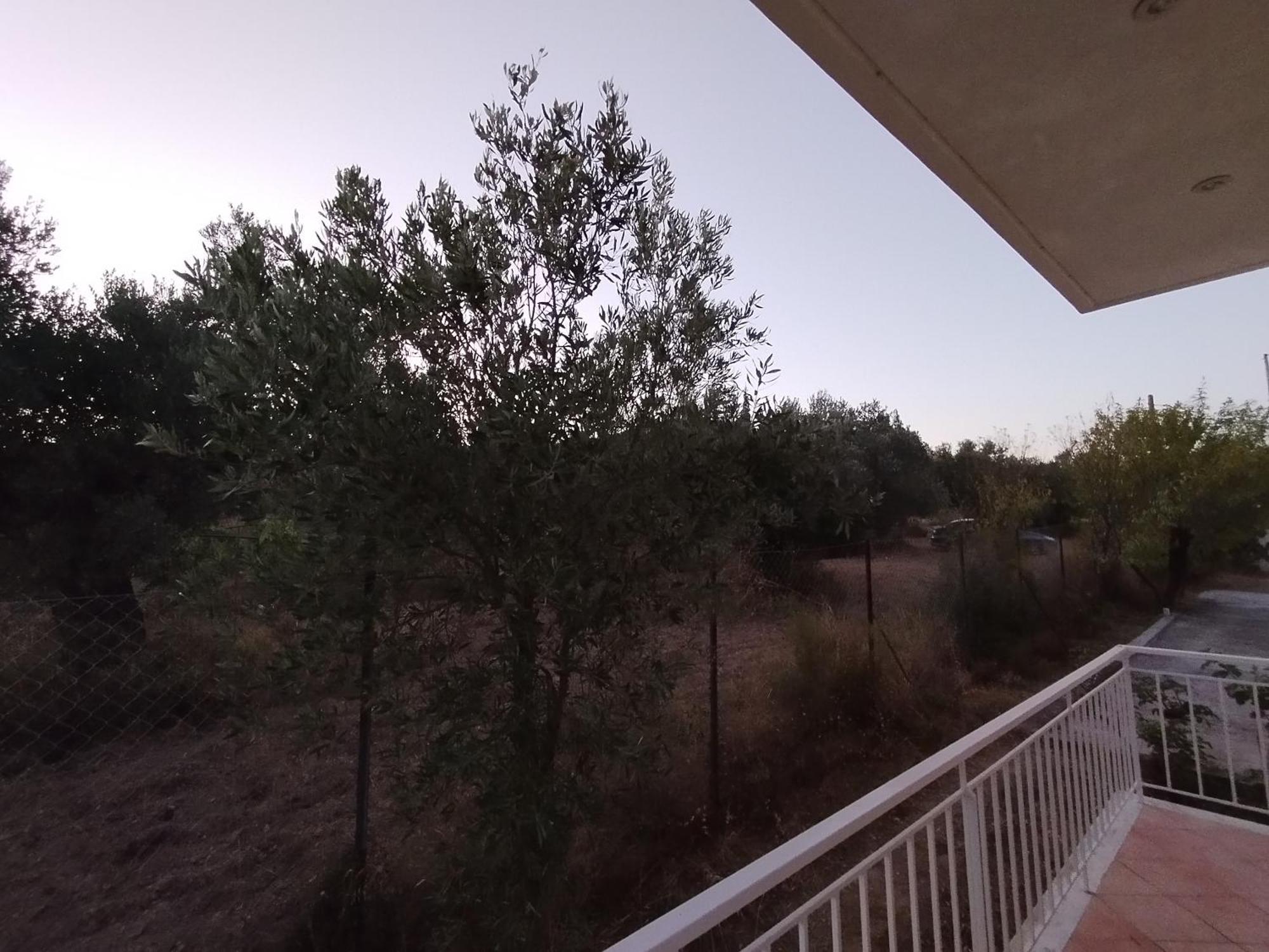 Appartamento Costasfarmhouse, Pallini, Near Athens Airport Esterno foto